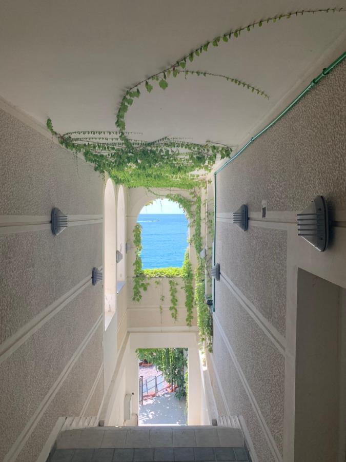 Sound Of The Sea Apartment Sveti Stefan Extérieur photo